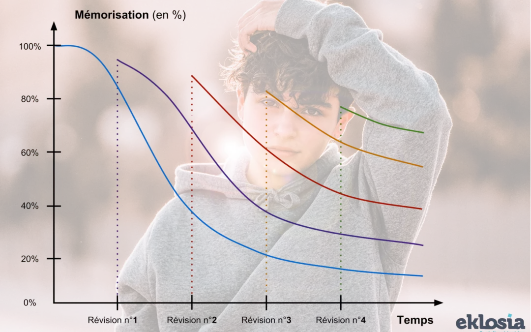 Qu’est-ce que la courbe de l’oubli ? Aidez votre enfant à mieux retenir ses devoirs